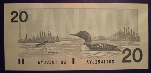 Canada 1991 58d 20 note - canada, bc-58d-i
